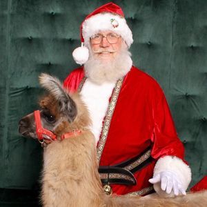 Meet your Posher, Ginger